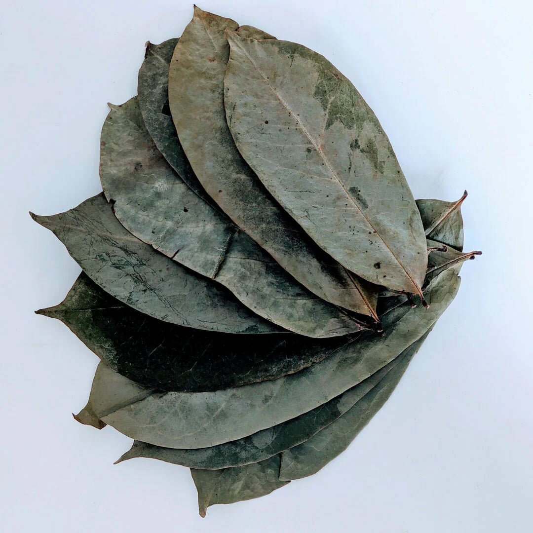 dried soursop leaves - wholifeCo