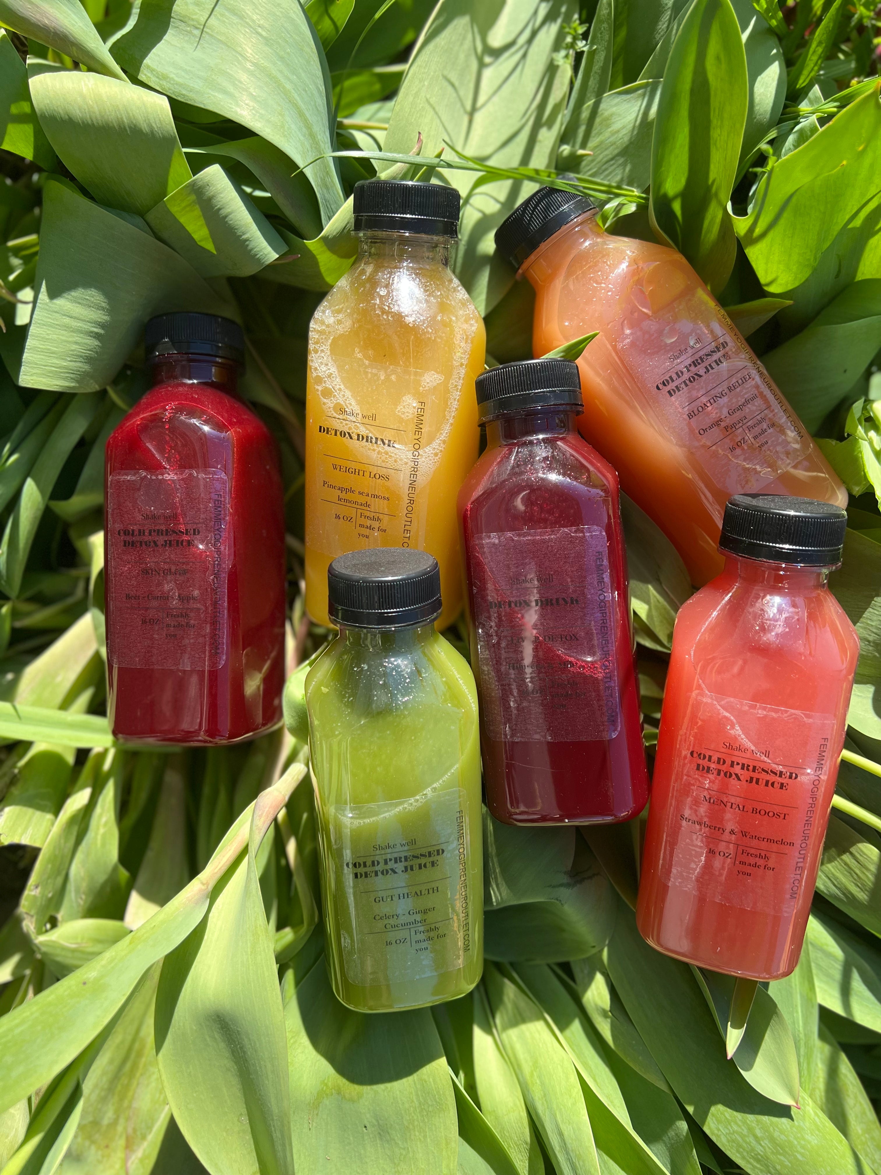 10 Day Juice cleanse - 30 Bottles Raw Fruit Juices