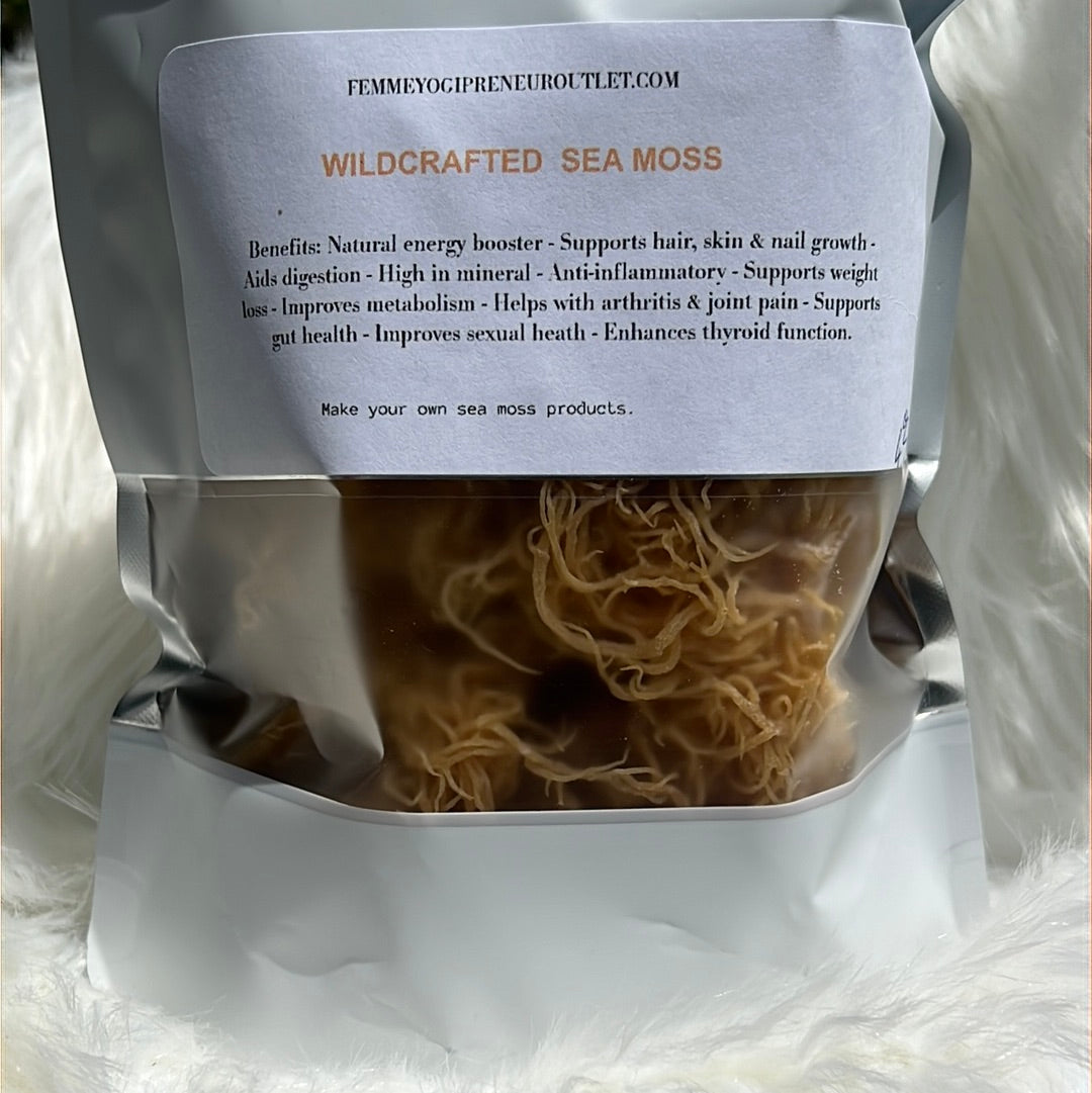 Raw gold Sea moss - Pure Jamaican Sea moss - Genus Gracilaria