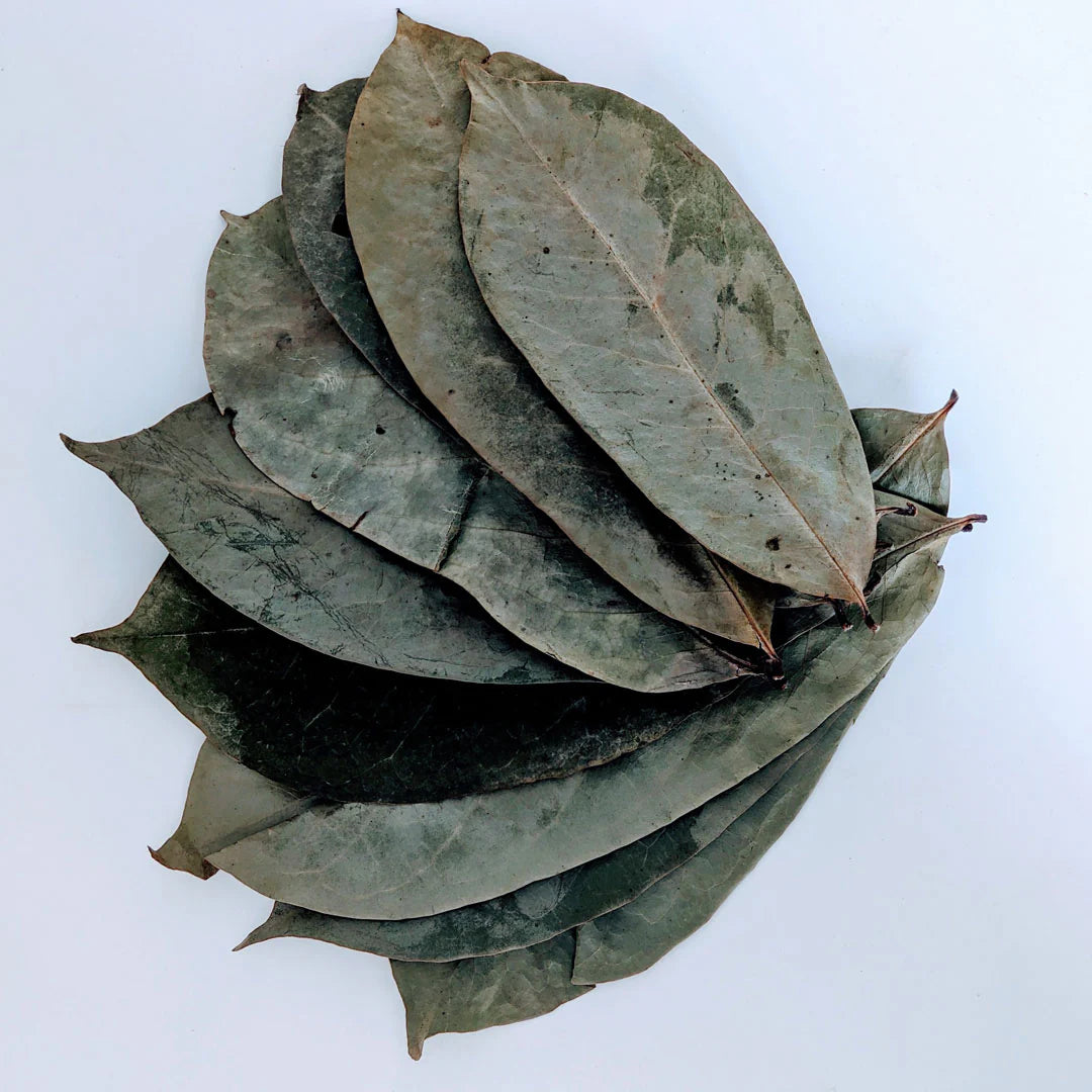 dried soursop leaves - wholifeCo