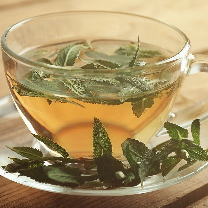Sage for Tea - Organic