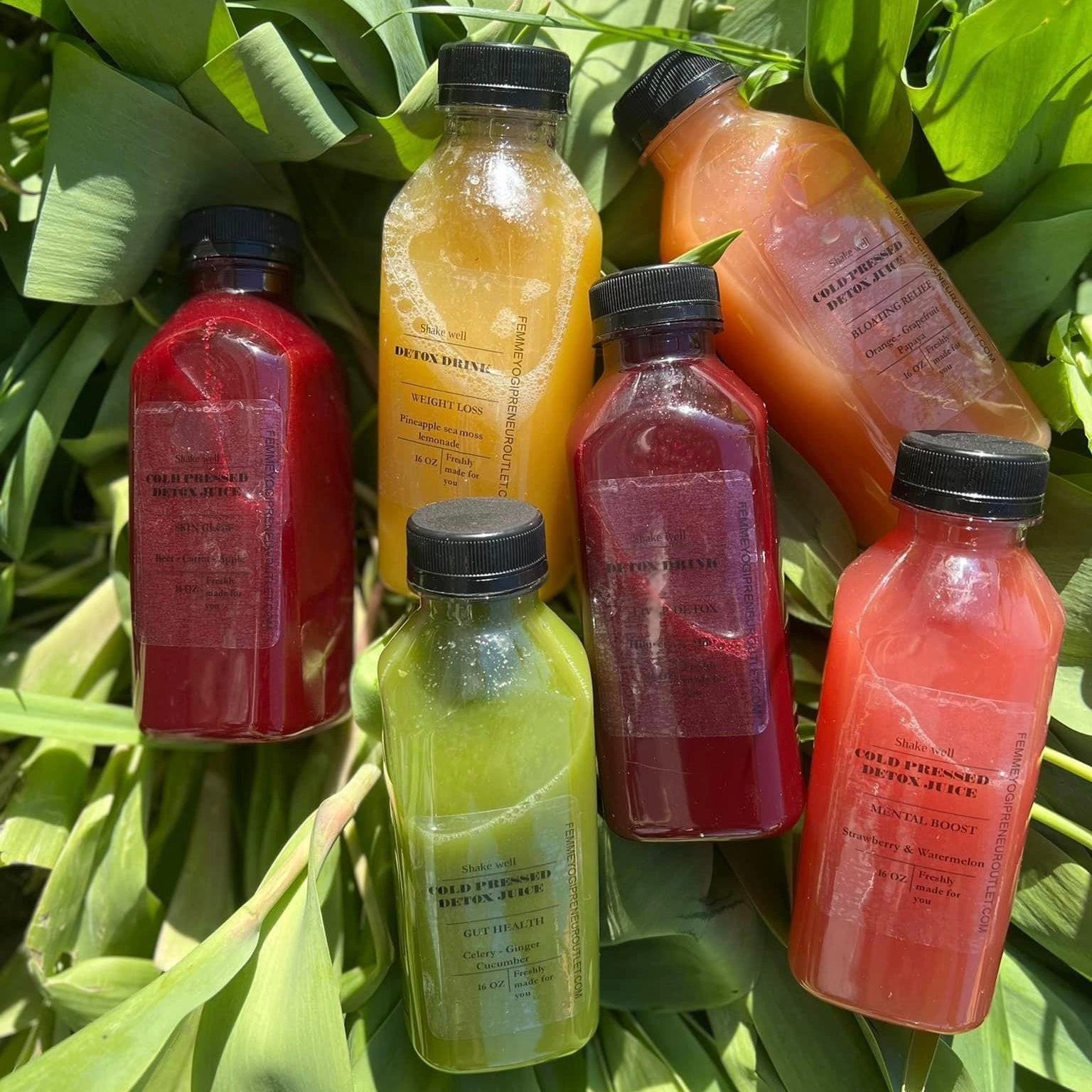 10 Day Juice cleanse - 30 Bottles Raw Fruit Juices