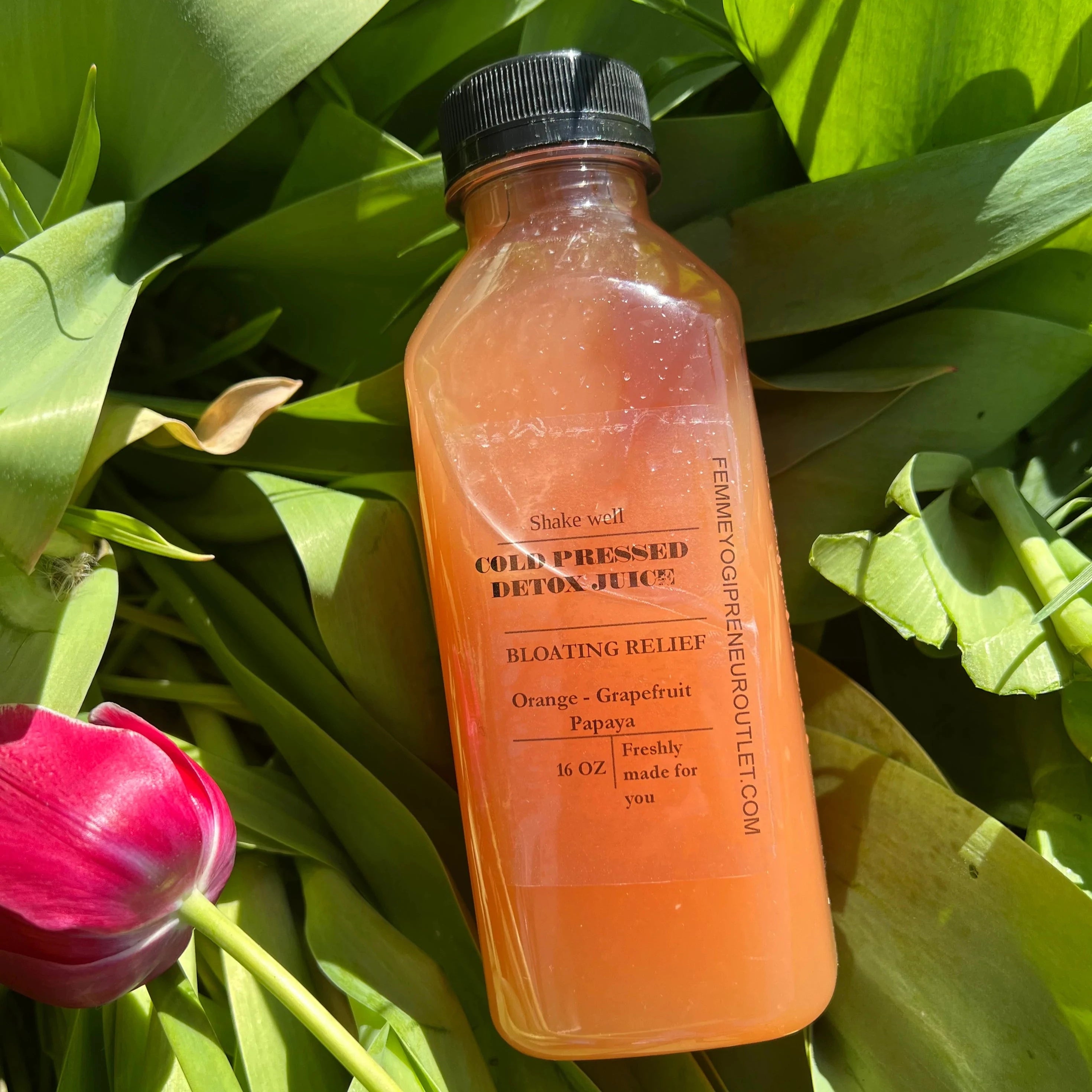 Cold pressed juice for bloating relief - Orange - Grapefruit & papaya drink -16 oz