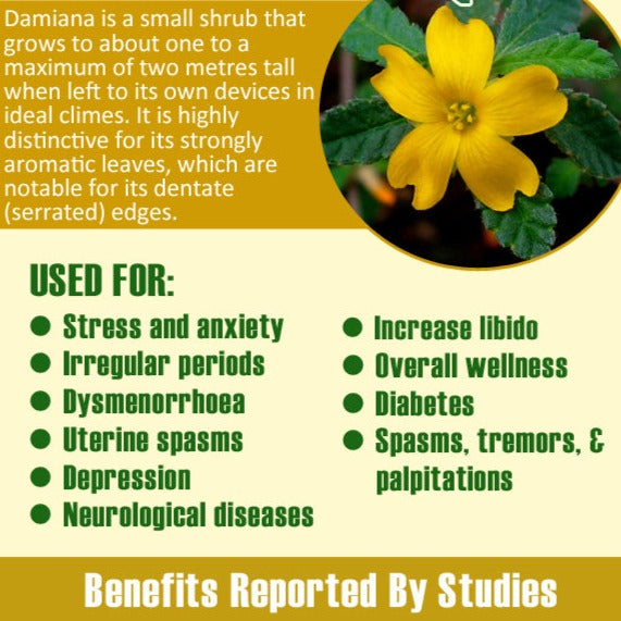 damiana tea benefits