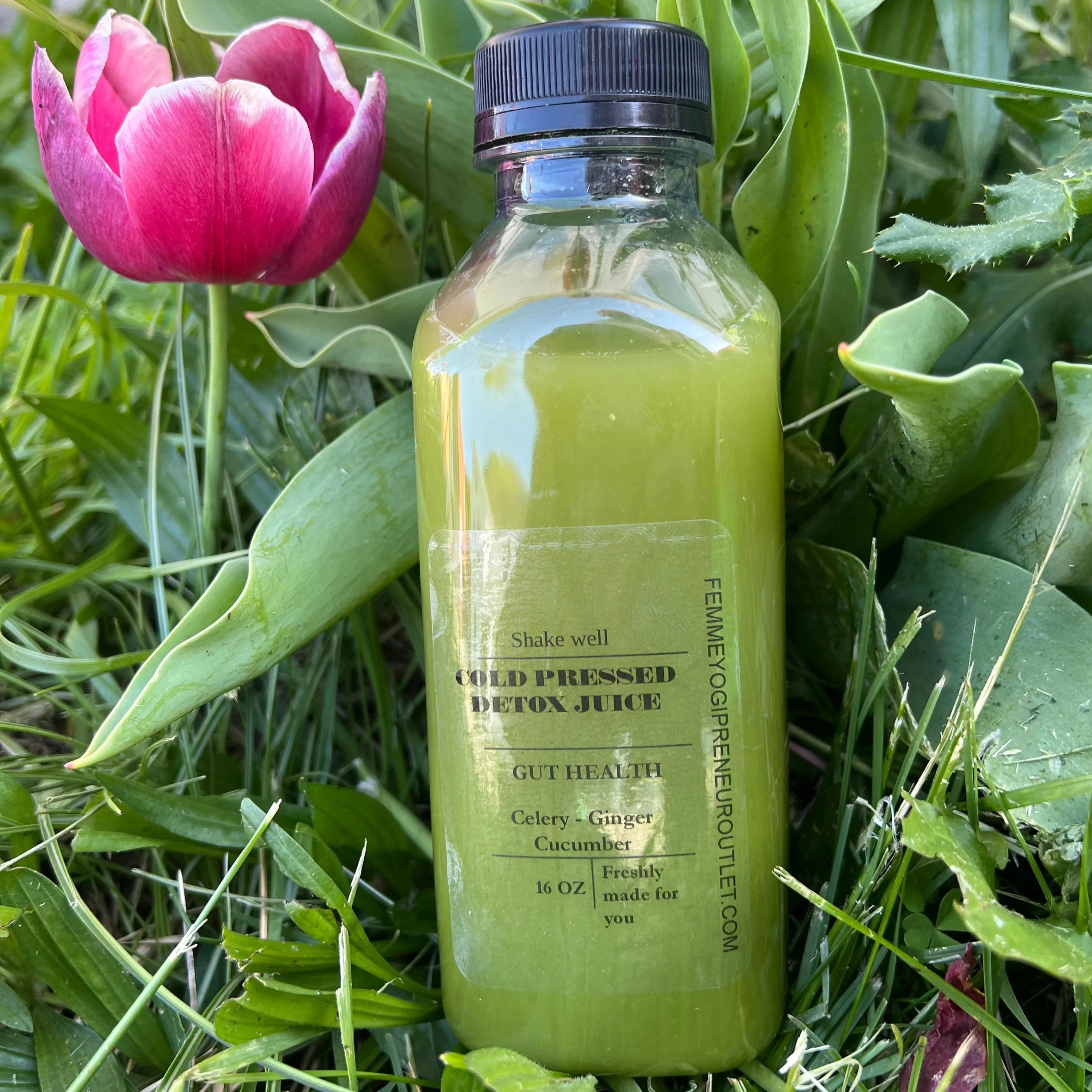 Green juice cleanse - Gut health drink - 16 oz