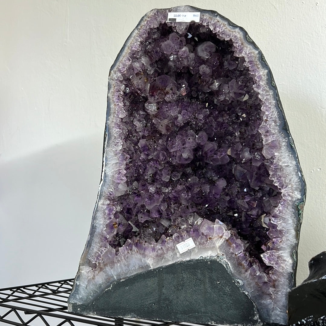 Huge Amethyst Cluster with Base