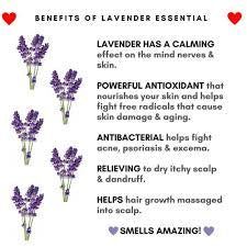 Organic Lavender flowers - Loose Tea
