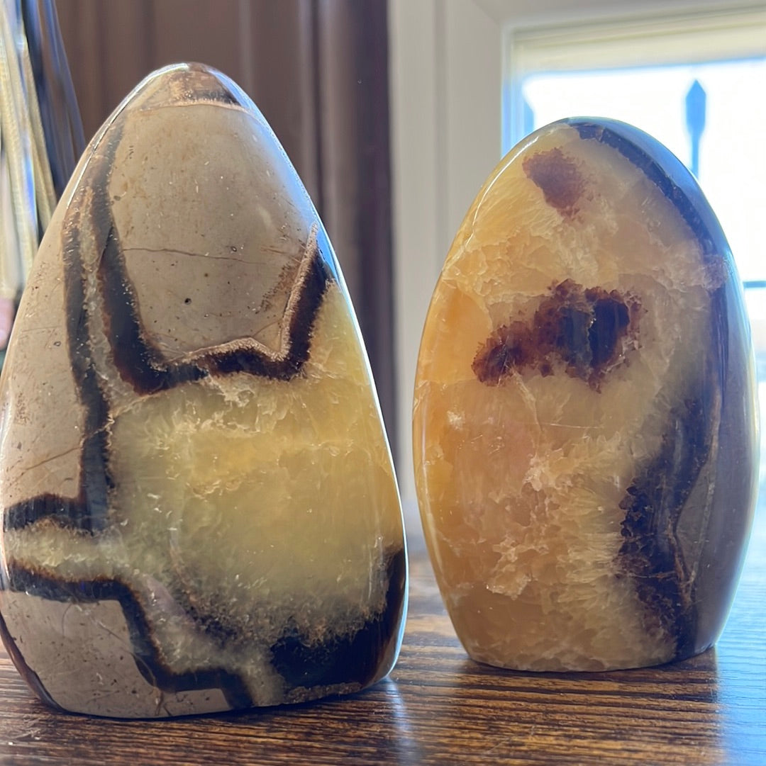 Septarian stone for Home decor