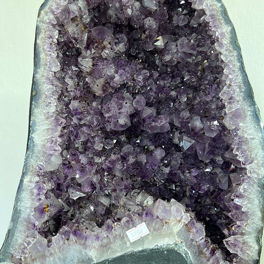 Huge Amethyst Cluster with Base