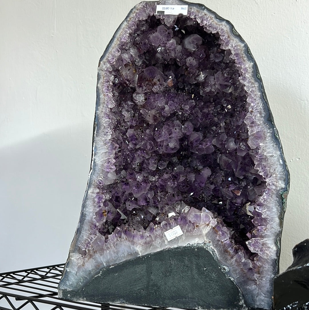 Huge Amethyst Cluster with Base