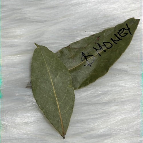 Dozen of Bay leaves for manifestation - Prosperity & Abundance