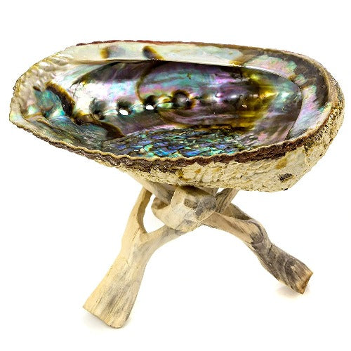 Abalone shell stand with sage smudge