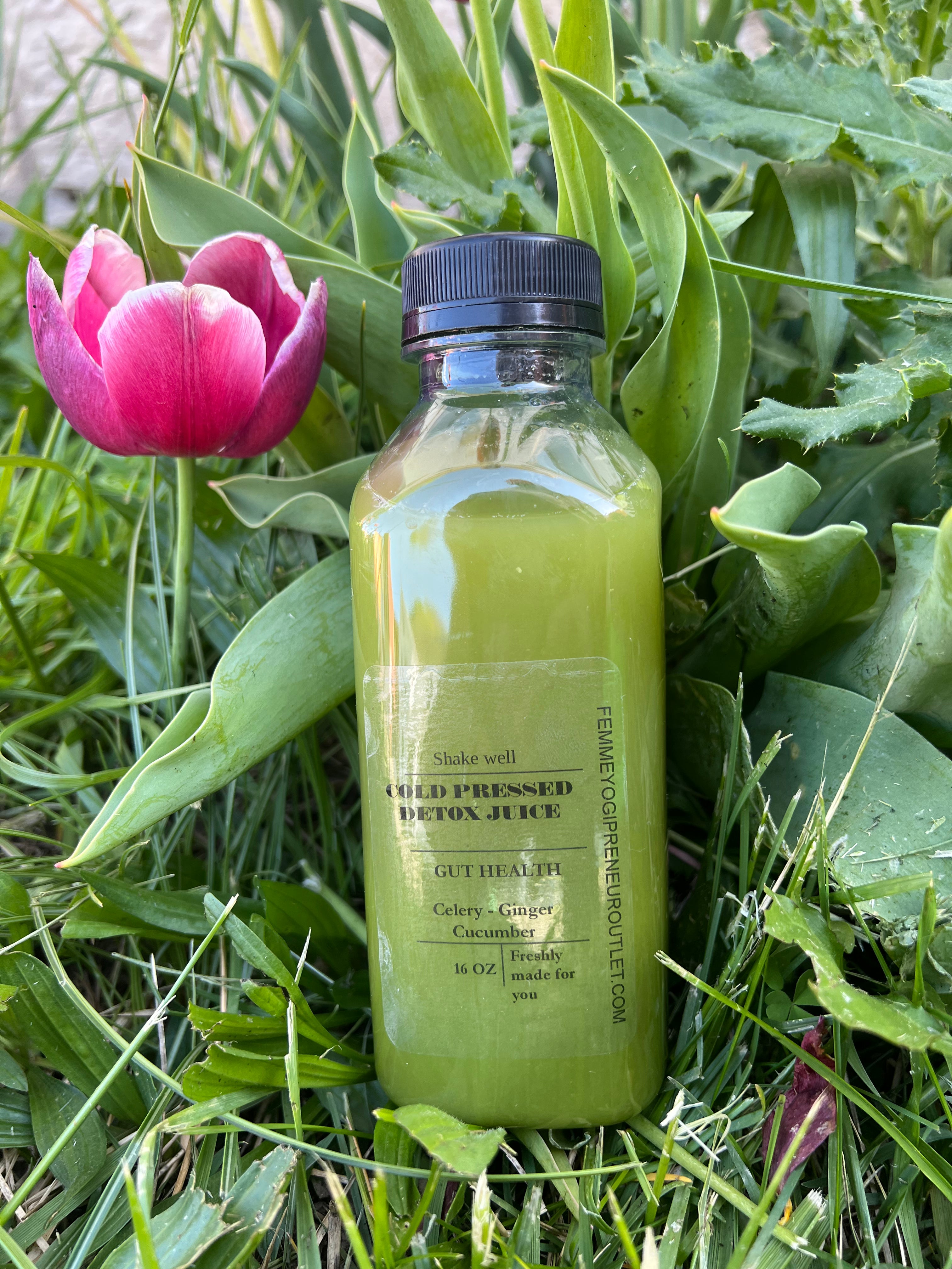 Green juice cleanse - Gut health drink - 16 oz