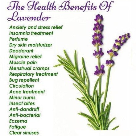 Organic Lavender flowers - Loose Tea