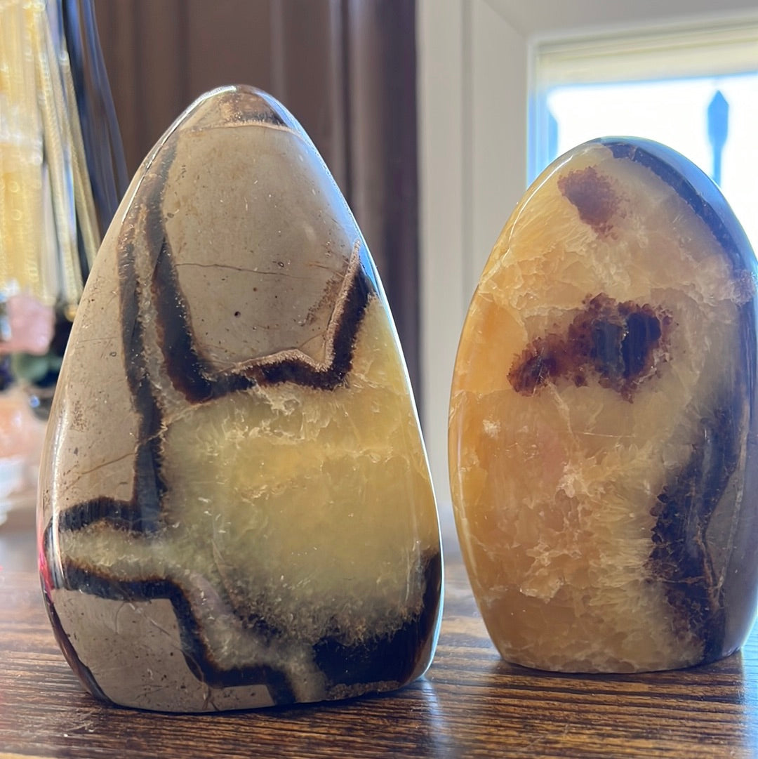 Septarian stone for Home decor