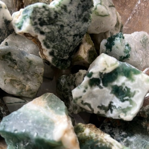 Raw Tree agate healing stone