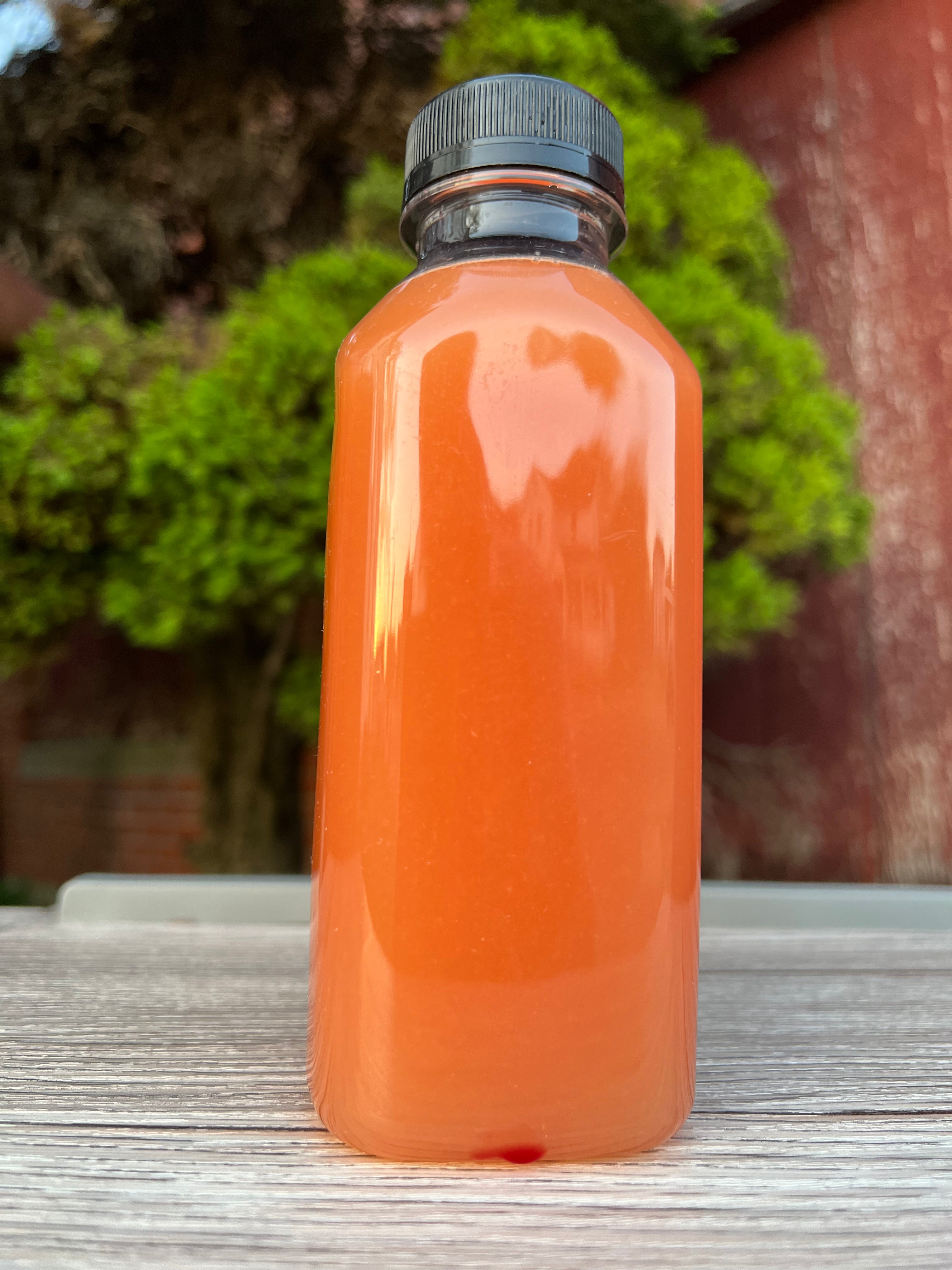 Cold pressed juice for bloating relief - Orange - Grapefruit & papaya drink -16 oz